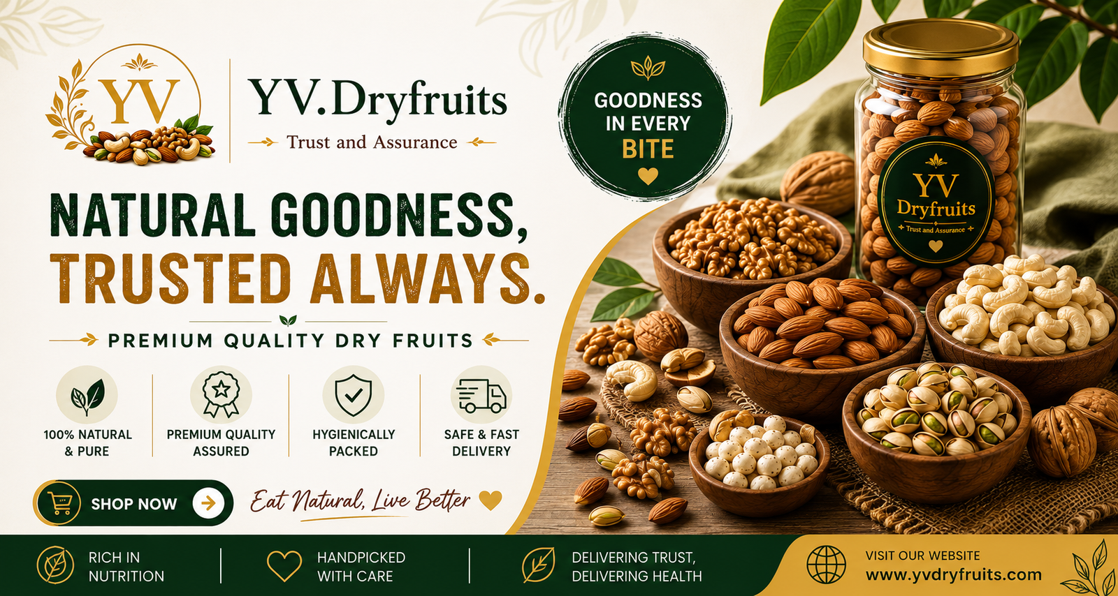 Premium Dry Fruits Banner 2